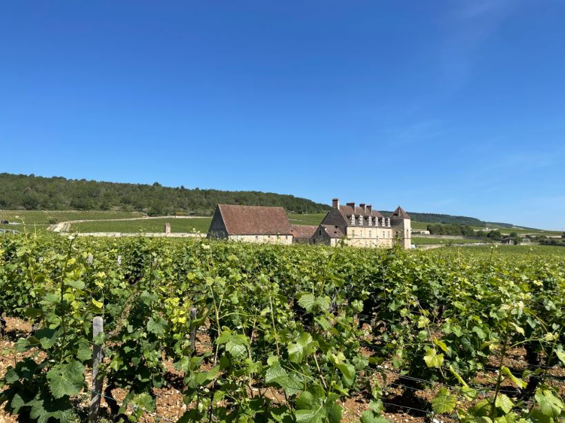 Evenstad Estates Announces Landmark Burgundy Expansion