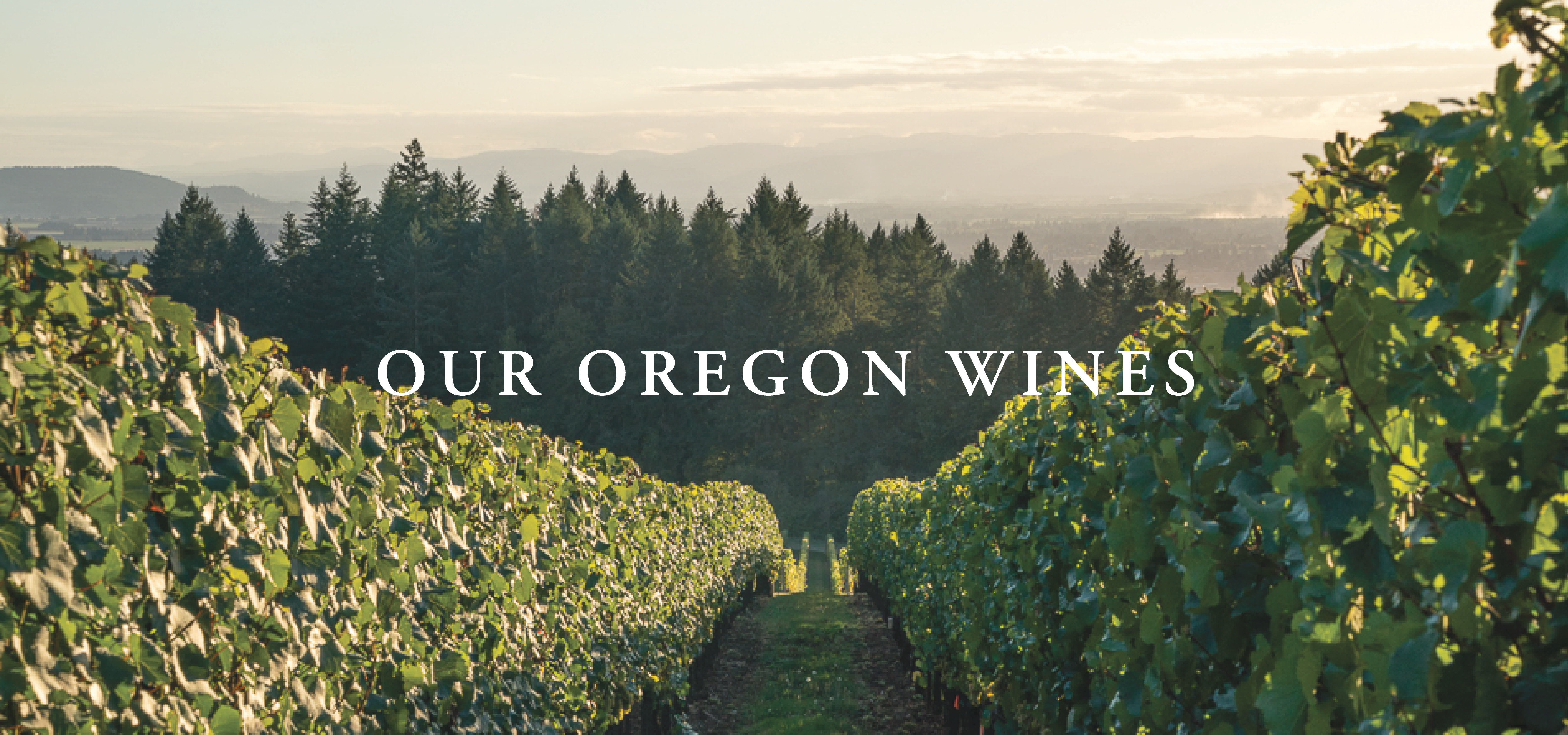 Our Oregon Wines