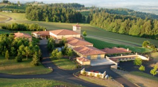 Winery Aerial Back View