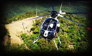 Helicopter Vineyard Tour - Up to 4 Guests